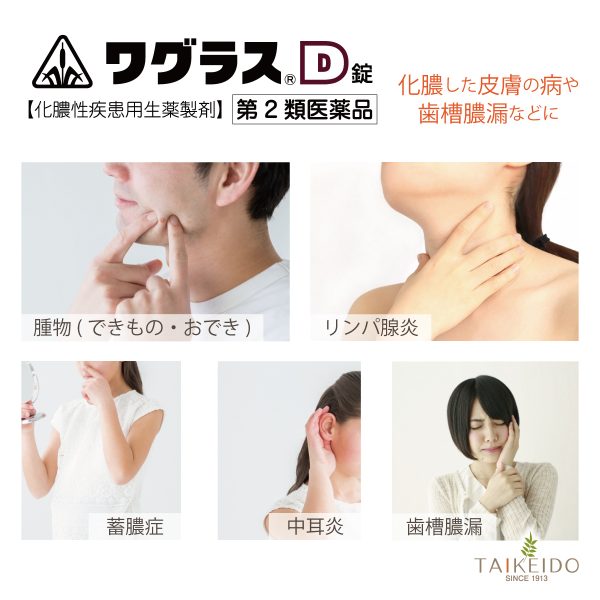 漢方の化膿止めワグラスD錠