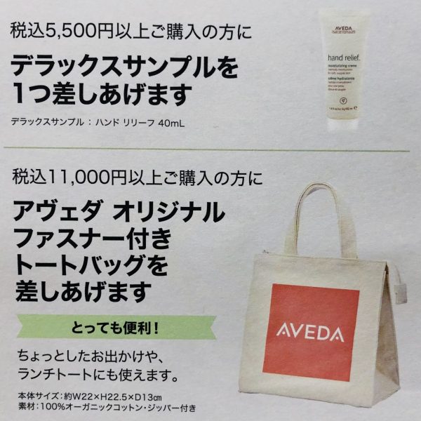 お得なキャンペーン始めました!!