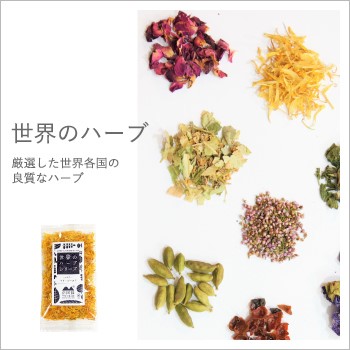 南阿蘇TEA HOUSE【世界のハーブシリーズ】