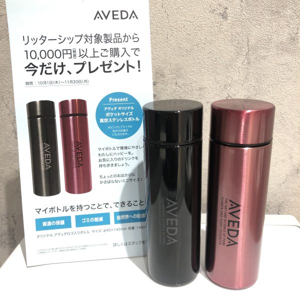 ✨キャンペーンのお知らせ✨