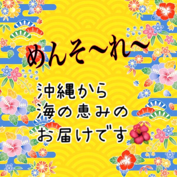 沖縄の海の恵み『ぬちまーす』