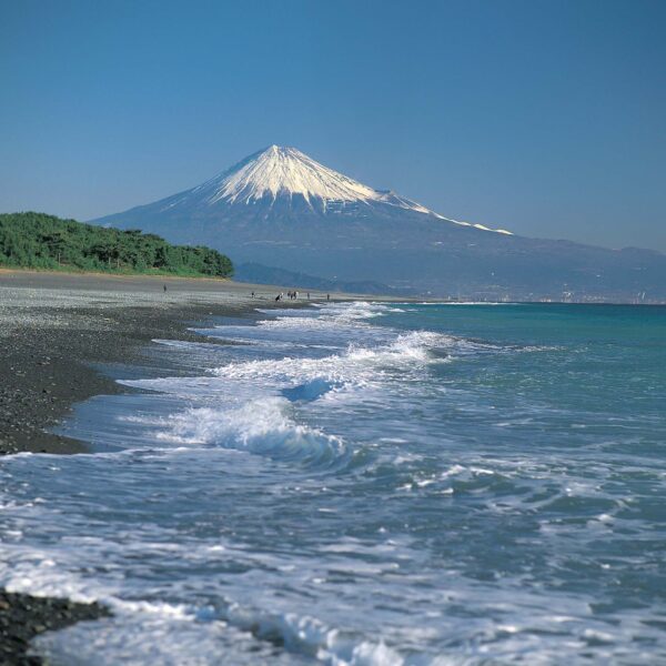 熊本から静岡へ