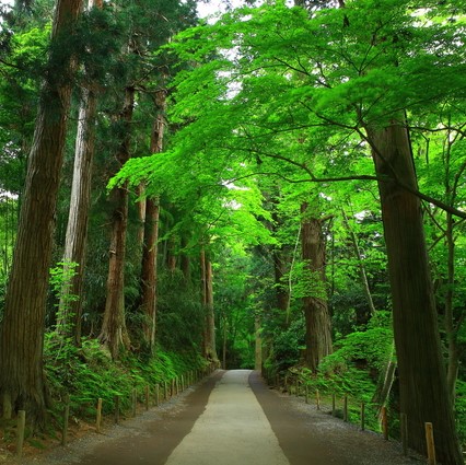 プロが選ぶ日本のホテル・旅館100選と5つ星の宿に泊まる 東北3県周遊4日間➁