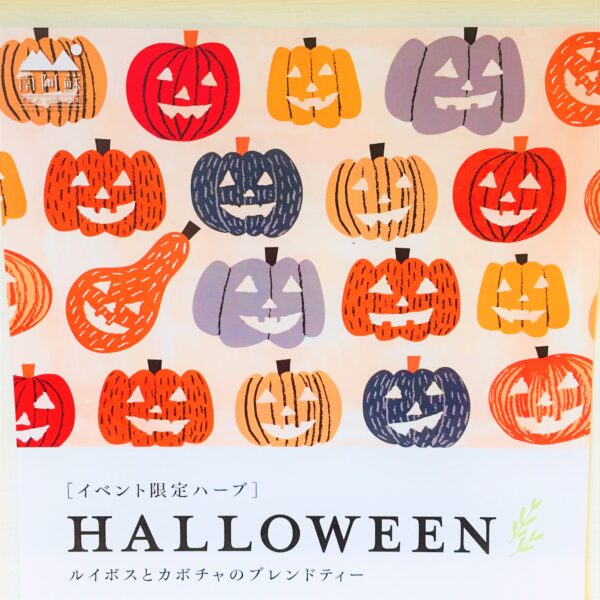 南阿蘇TEA HOUSE ハロウィン限定ブレンド【ルイボスとカボチャのブレンドティー】