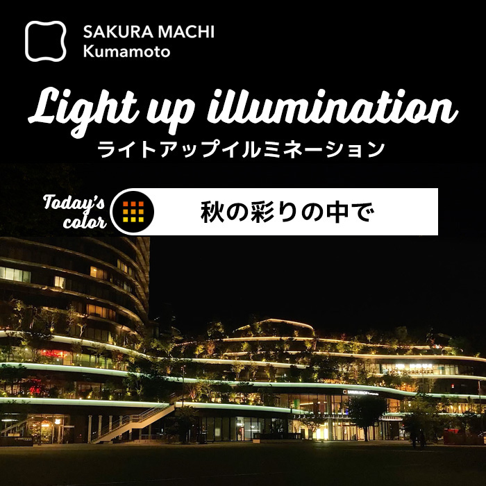 ライトアップイルミネーション秋・紅葉