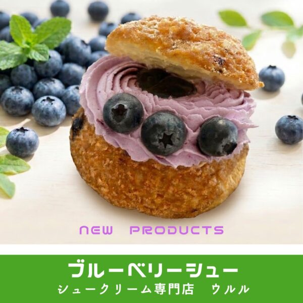 暑い日におすすめ！ブルーベリーシュー