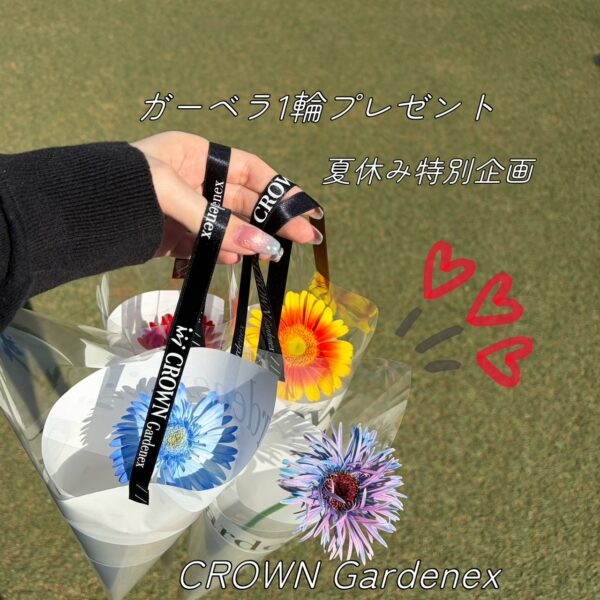 【CROWNGardenex】ガーベラプレゼント！